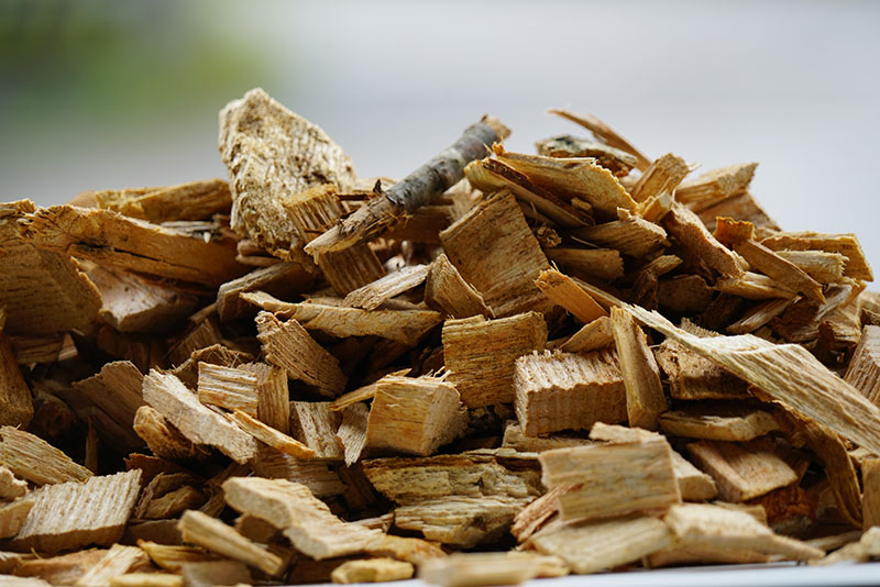 2451 Holzschnitzel gruen